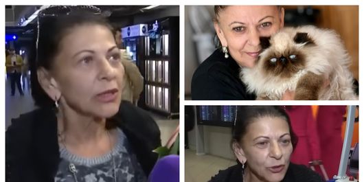 Ce se întâmplă cu pisicile Elenei Cârstea cât artista se află în România? Ce a spus despre revenirea în țară: „Dacă nu, nu o să mai vin.