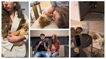 Momente de groază pentru Patrick și Bianca Giurcă. Ce s-a întâmplat cu câinele lor: “Am zis că sigur una din ele pățește ceva acum.”