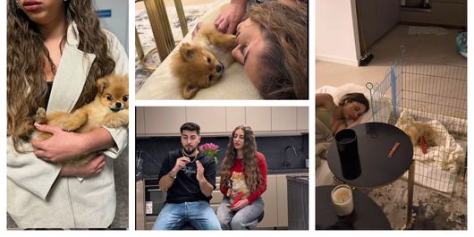 Momente de groază pentru Patrick și Bianca Giurcă. Ce s-a întâmplat cu câinele lor: “Am zis că sigur una din ele pățește ceva acum.”