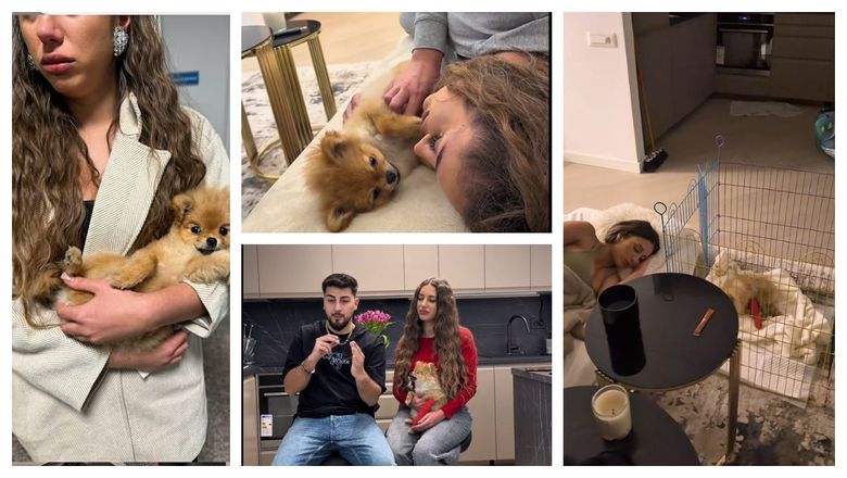 Momente de groază pentru Patrick și Bianca Giurcă. Ce s-a întâmplat cu câinele lor: “Am zis că sigur una din ele pățește ceva acum.”