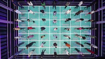 Începe o nouă serie de quiz-uri la „The Floor”, sâmbătă, de la 21:00, la Kanal D