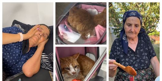 Ce s-a întâmplat cu motanul bunicii Gherghina. Îndrăgita bunicuță a povestit totul în mediul online: „Devine parte din sufletul tău.”