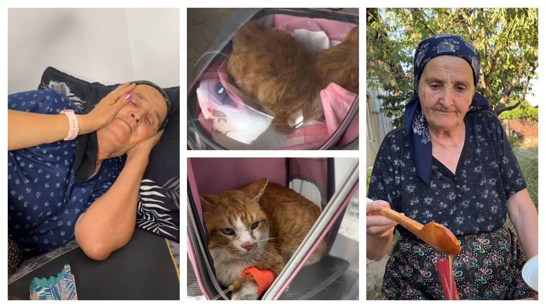 Ce s-a întâmplat cu motanul bunicii Gherghina. Îndrăgita bunicuță a povestit totul în mediul online: „Devine parte din sufletul tău.”