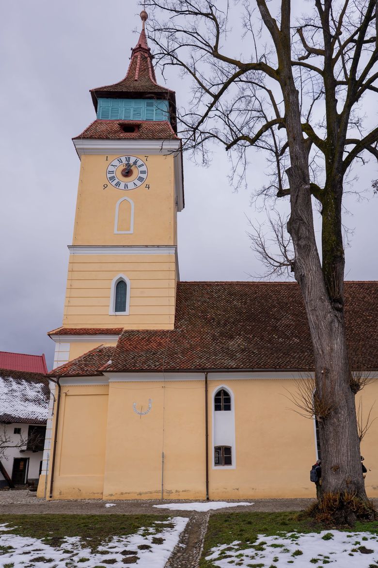 Stabilitate emoțională în relații: 4 semne revelatoare ale atașamentului sigur și importanța lor în interacțiunile adulților