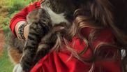 Andra Măruță și animalele de companie