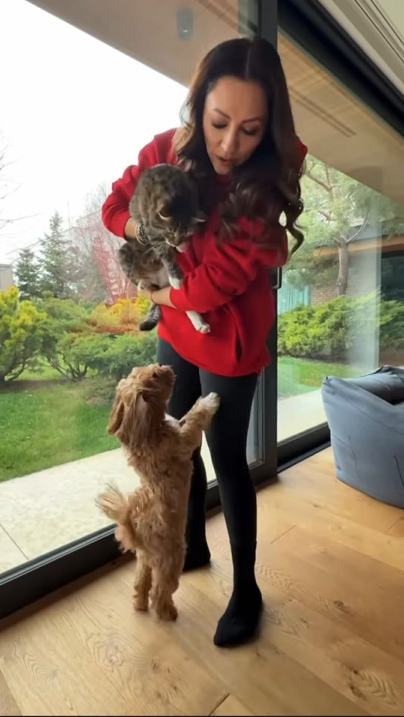 Andra Măruță și animalele de companie
