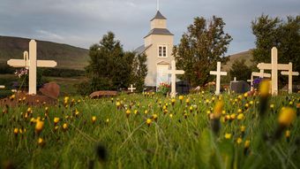 Duminica Floriilor 2026: Tradiții și obiceiuri care trebuie respectate în această zi