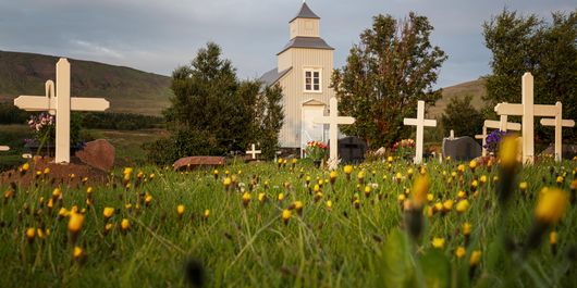 Duminica Floriilor 2026: Tradiții și obiceiuri care trebuie respectate în această zi