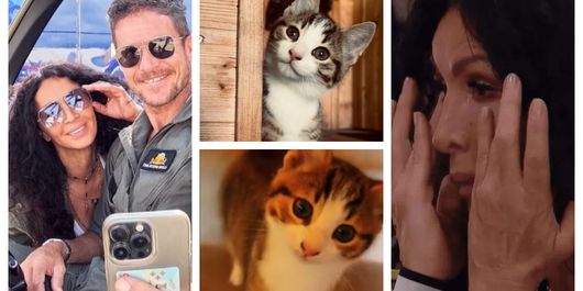 Ce s-a întâmplat cu pisicile pe care Mihaela Rădulescu le avea în relația cu Felix Baumgartner: “Mama lui Felix nu suporta animalele.”