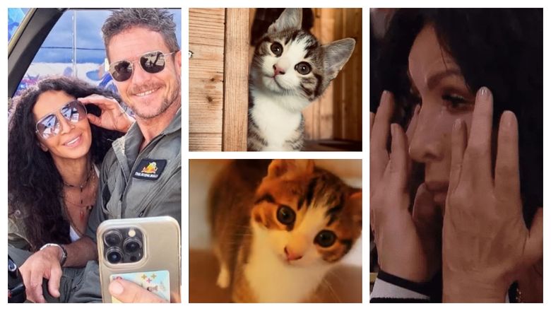 Ce s-a întâmplat cu pisicile pe care Mihaela Rădulescu le avea în relația cu Felix Baumgartner: “Mama lui Felix nu suporta animalele.”