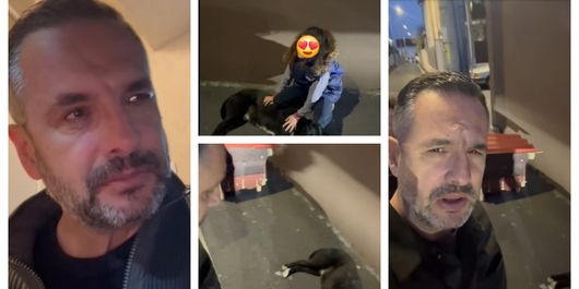 Mădălin Ionescu, apel disperat în plină stradă pentru un câine. Cum l-a găsit prezentatorul TV pe patruped: “Este absolut de necrezut câtă tristețe.”