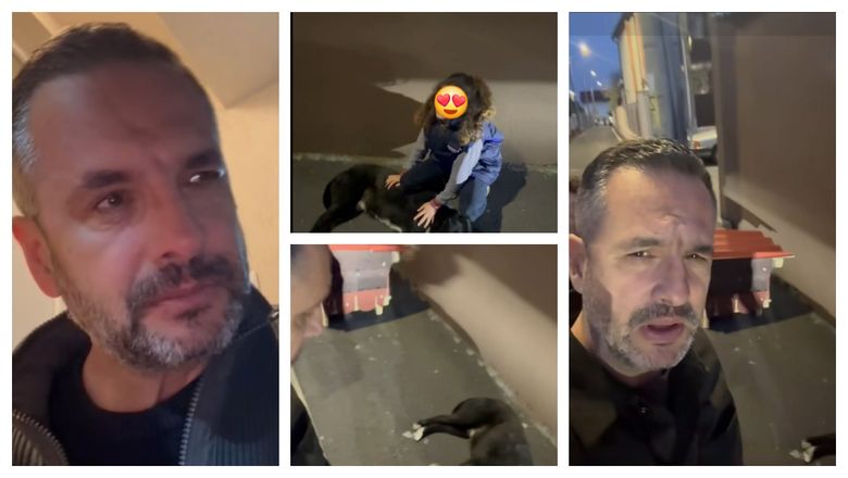 Mădălin Ionescu, apel disperat în plină stradă pentru un câine. Cum l-a găsit prezentatorul TV pe patruped: “Este absolut de necrezut câtă tristețe.”