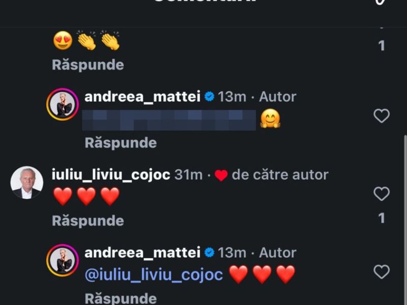 Comentariile din online &icirc;ntre Andreea Matei și urmăritori