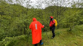 Ore de coșmar pentru familia copilului de cinci ani care a dispărut în Sibiu. Tatăl lui Alexandru a făcut un apel disperat: „Nu știu dacă funcționează.”
