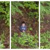 VIDEO Alexandru, băiețelul de cinci ani dispărut din Sibiu, a fost găsit &icirc;n viață!