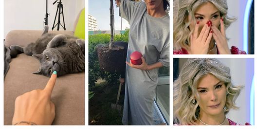 Ce a făcut Ramona Olaru cu cenușa pisicii sale. Gestul incredibil al asistentei TV