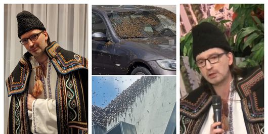 Florin Vasilică, reacție după ce un roi de albine a acoperit un autoturism din Alexandria: “Nu mai suntem cel mai sărac județ.”