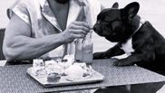 Dorian Popa și animalul de companie
