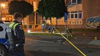Noi detalii în cazul polițistului care ar fi fost ucis de fiul său. Care au fost ultimele lui cuvinte și ce mărturii șocante au ieșit la iveală de la locul crimei