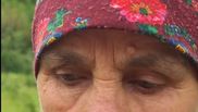Mama fraților Graur