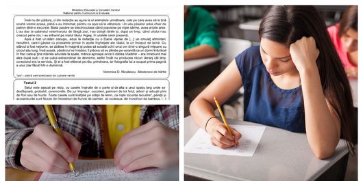 Alertă după Evaluarea Națională. Subiectele de Limba Română au ajuns pe grupuri de părinți imediat după începerea probei
