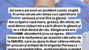 Adina Halas - accidentare