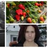 Noi detalii despre tragedia din Germania! Ce au descoperit anchetatorii după atacul de la ferma de căpșuni și cine este femeia ucisă