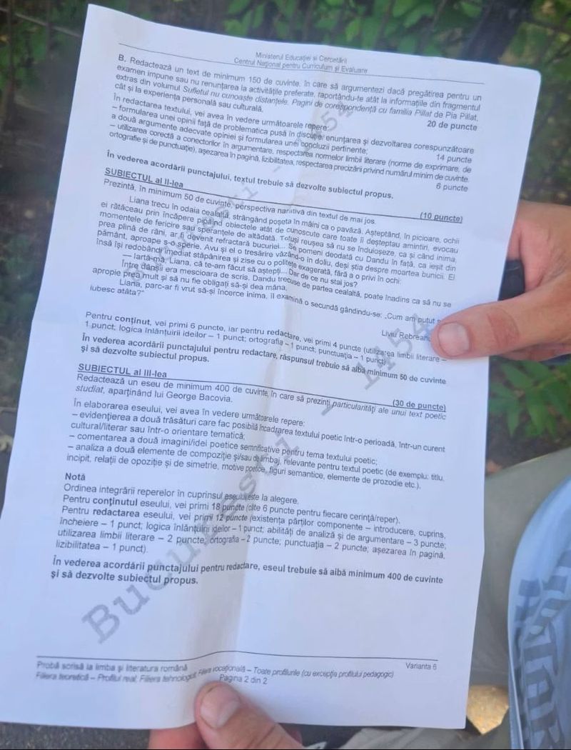Subiecte Bacalaureat 2026