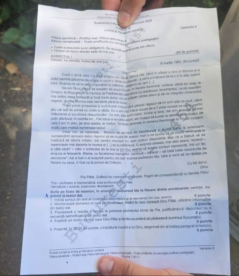 Subiecte Bacalaureat 2026