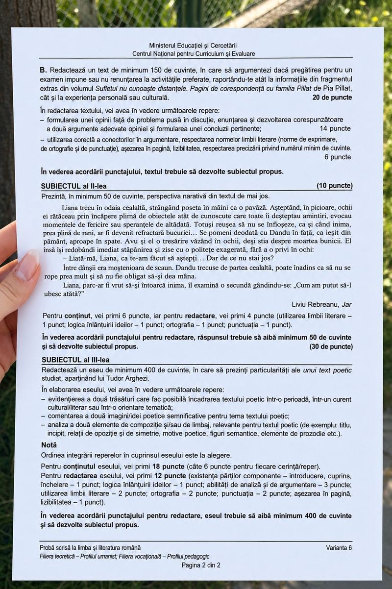 Subiecte Bacalaureat 2026