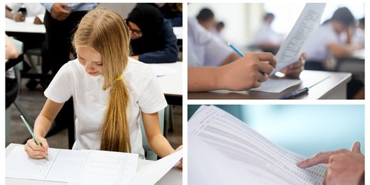 Evaluarea Națională 2026: Când se afișează rezultatele și de la ce oră își pot verifica elevii notele