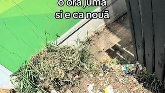 Dorian Popa, surprins cu un ceas de zeci de mii de lei în timp ce strângea gunoaie pe străzile Capitalei! Vedeta a început munca în folosul comunității