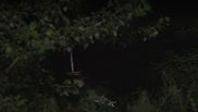 Tineri înecați în Argeș