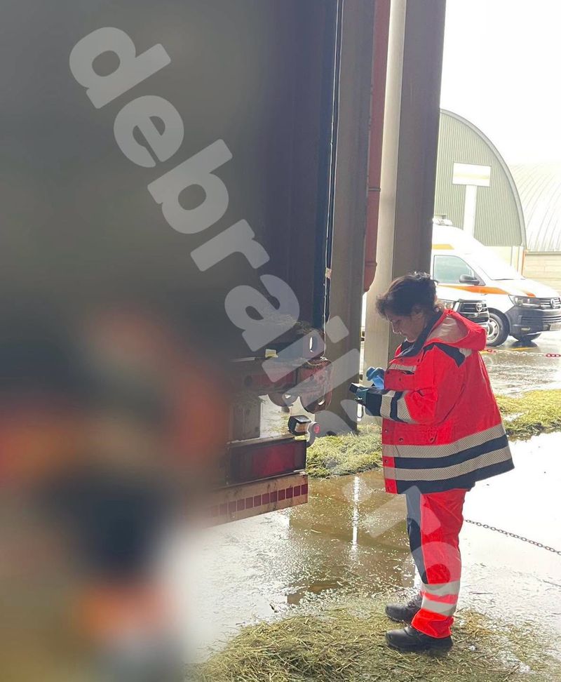 Accident muncă- Brăila