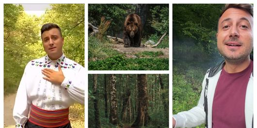 Ce a pățit Valentin Sanfira când a mers să culeagă hribi din pădure. Artistul a rămas șocat de ce a apărut în fața lui: “Să aveți grijă, e periculos.”