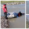Doi frați din Neamț au murit &icirc;n timp ce &icirc;ncercau să o salveze pe surioara lor! Cum au fost descoperiți