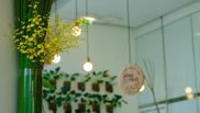 Oaza ta verde de pe balcon: Cum îngrijești plantele de ghiveci în timpul verii și ce faci cu ele când pleci în concediu