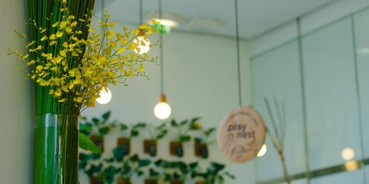 Oaza ta verde de pe balcon: Cum îngrijești plantele de ghiveci în timpul verii și ce faci cu ele când pleci în concediu