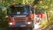 Accident mortal Dinamo