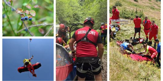 Sfârșit tragic pentru un bărbat aflat la cules de afine. Motivul pentru care și-a pierdut viața în Munții Grohotiș