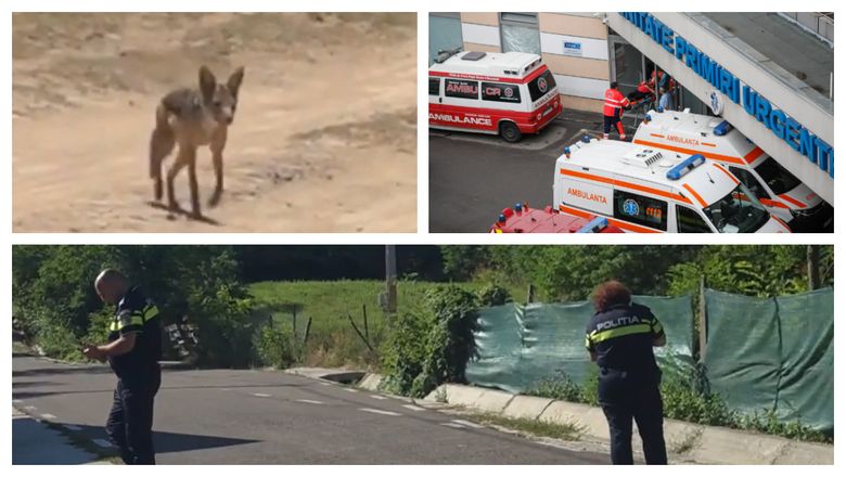 De ce sa pui sare in sampon si gelul de dus inainte de baie? E incredibil