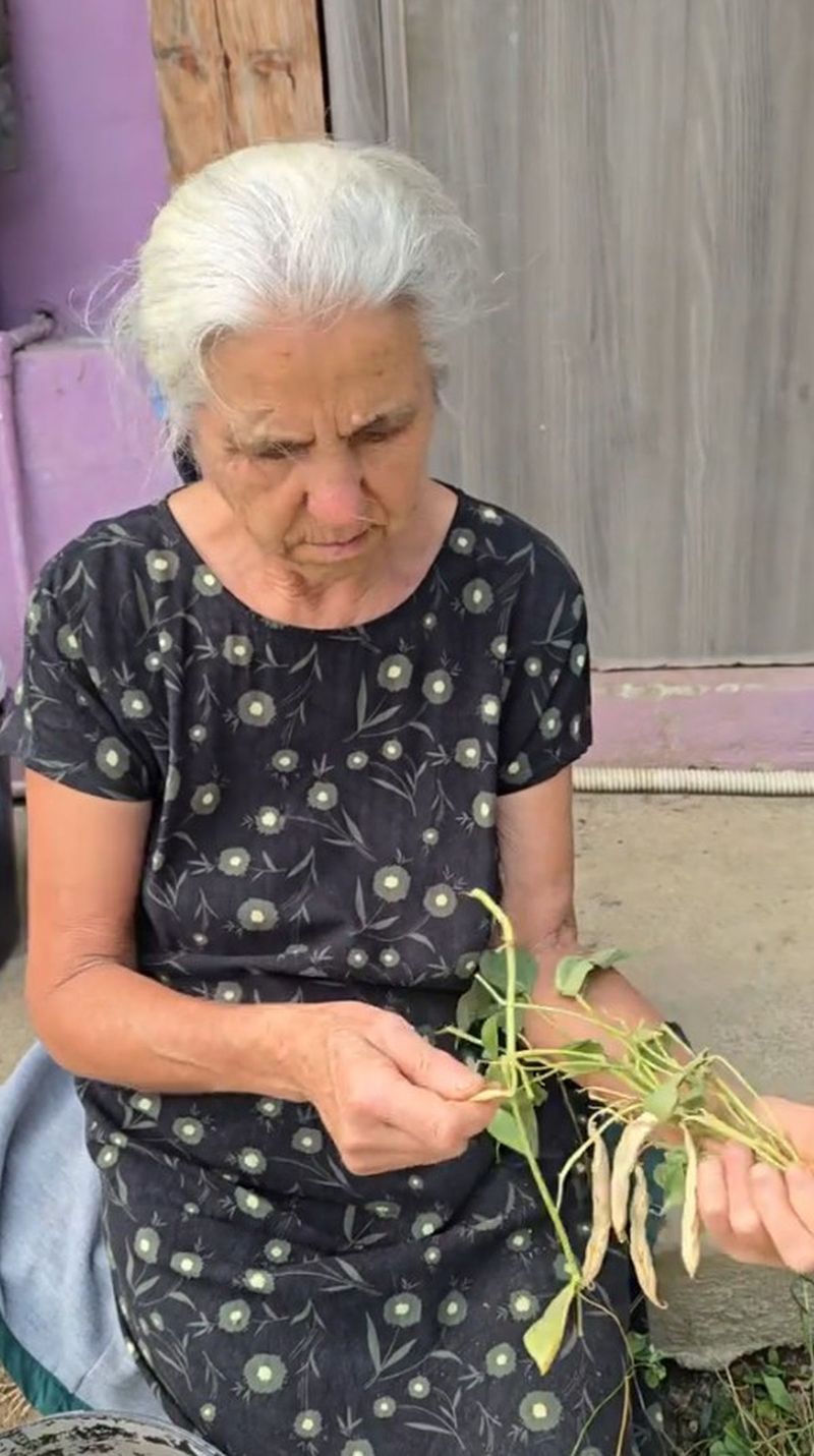 Mama Gemenilor Graur