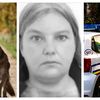 Descoperire macabră &icirc;n județul Bihor! Cum a fost găsită Alina, după zile &icirc;ntregi de căutări
