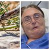 O femeie a fost mușcată de două ori de șarpele pe care a vrut să &icirc;l salveze. Ce s-a &icirc;nt&acirc;mplat după incident: &ldquo;Un desen frumos pe spate.&rdquo;