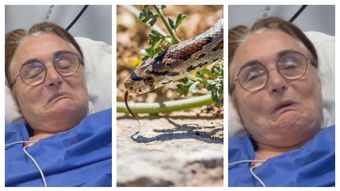 O femeie a fost mușcată de două ori de șarpele pe care a vrut să îl salveze. Ce s-a întâmplat după incident: “Un desen frumos pe spate.”
