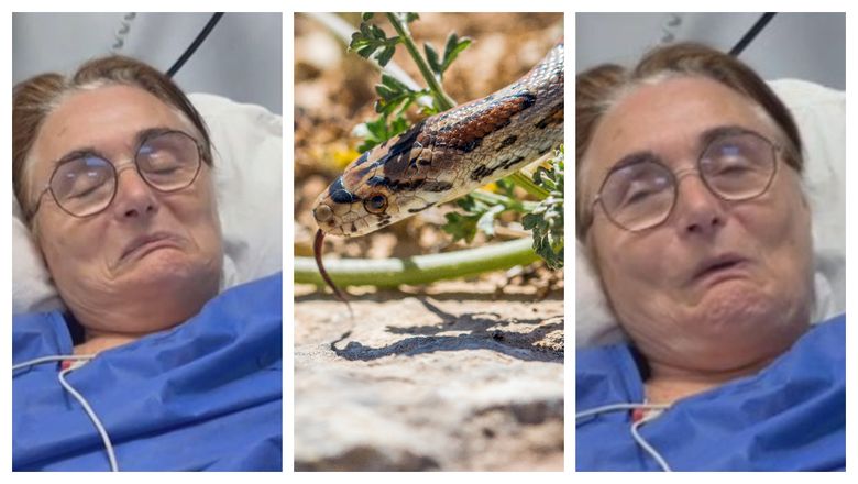 Paine cu capsuni si turmeric