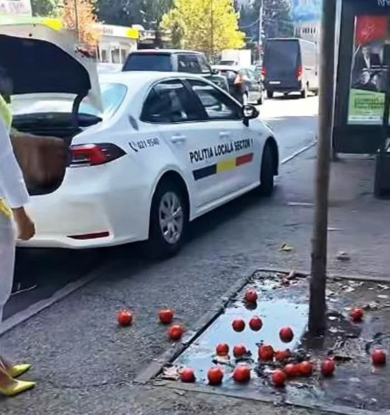 De ce sa consumi plantele sub forma de pulbere? Sigur nu stiai asta