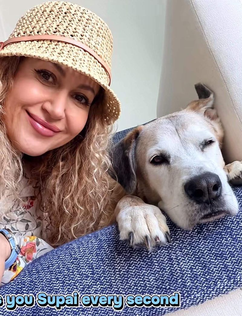 Anamaria Ferentz - animal de companie
