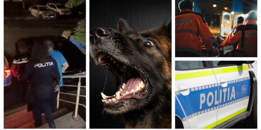 Femeie de 49 de ani, atacată de un câine într-un bloc din Deva! Ce s-a întâmplat cu proprietarul animalului