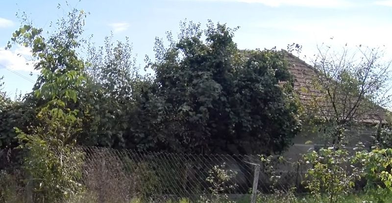 Casa &icirc;n care a murit Valentina Tănăsie